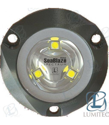 MINI UNDERWATER 2PAK BLUE LIGHT OUTPUT