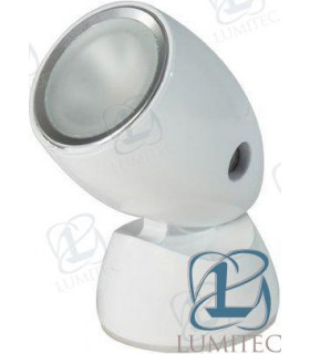 POSITIONABLE LIGHT, BRUSHED, WARM WHITE