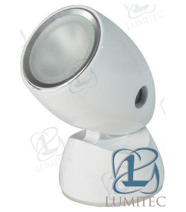 POSITIONABLE LIGHT, BRUSHED, WARM WHITE