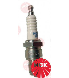 SPARK PLUG NGK BR9ES