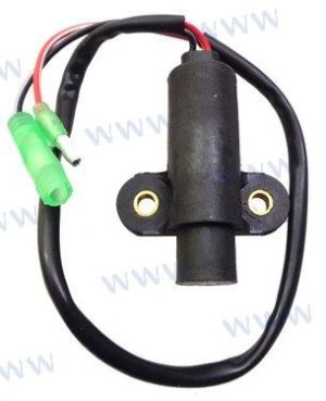 COIL PULSER