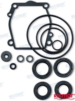 LOWER UNIT SEAL KIT