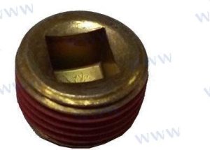 PLUG (5)
