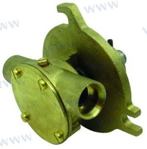 RAW WATER PUMP