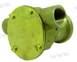 RAW WATER PUMP