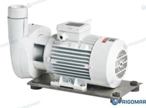 SEA WATER PUMP B-C(M) 41E (1,1 kW)