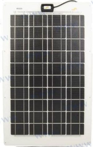 SUN60233065