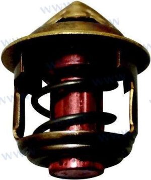 THERMOSTAT KIT